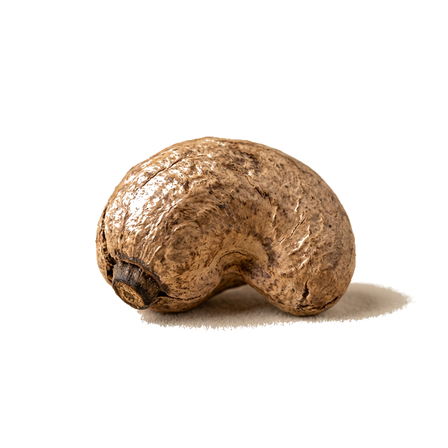 Premium Cashew Group